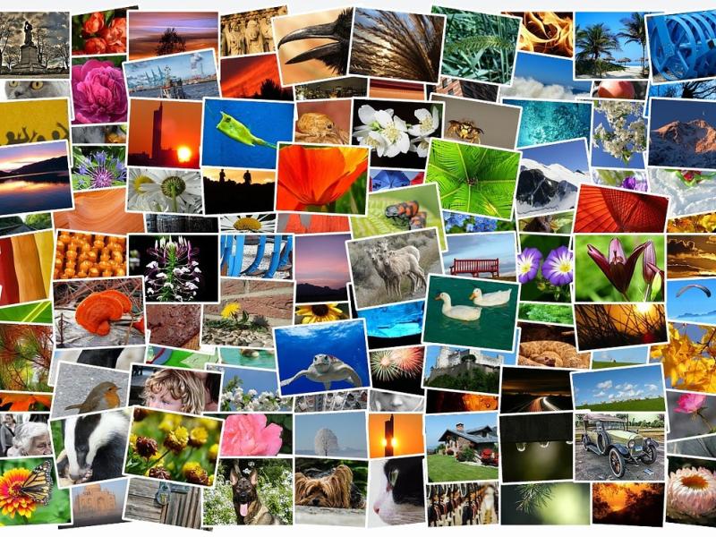 Les photographies de la commune 